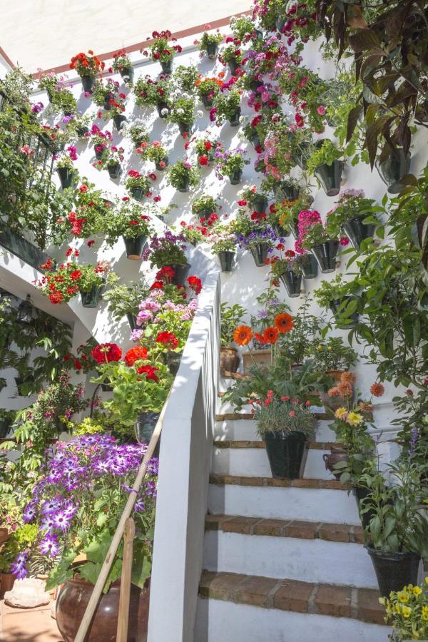 La Casa De Rafalita 코르도바 외부 사진